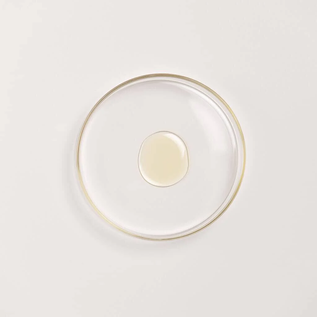 Balaayah Black Gram Body Booster - Sunshine Blend - Image 4