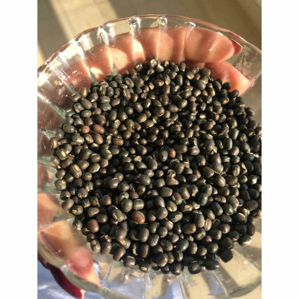 Balaayah Black Gram Bright Body Booster - CLINICALLY TESTED - Image 20