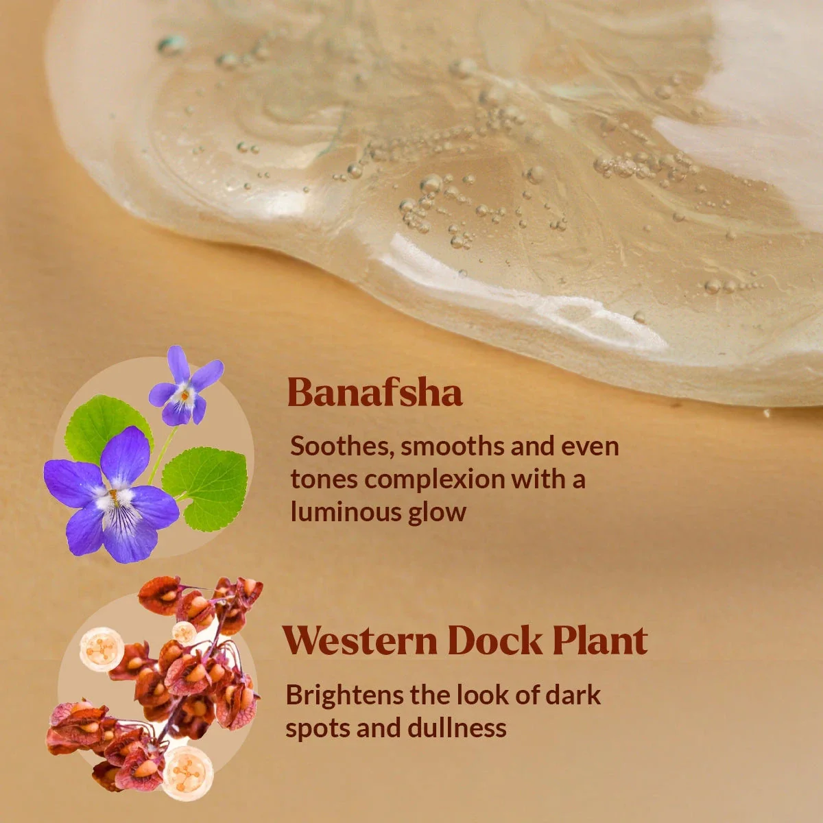 Dim N Dazzle Gel-to-Milk Skin Polish Face Serum – Even-tones and Plumps for Glassy, Polished looking skin – Enriched with Banafsha and Western Dock Plant – Best Double Serum for Polished, Plumped, Glassy-Smooth Skin - Image 5