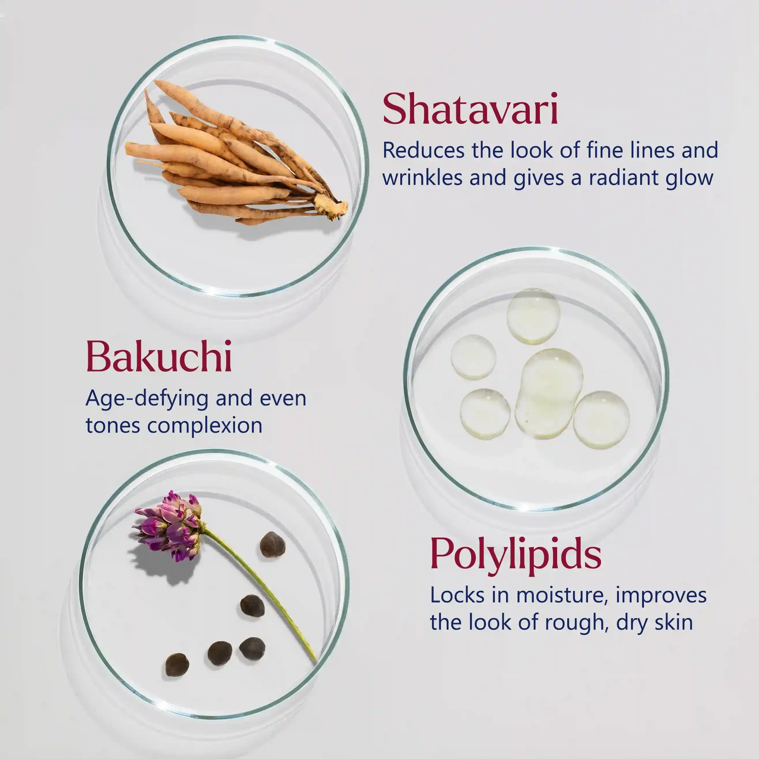 Firm-Focus Face Mask - Firms, Smooths, Hydrates, Loose, Saggy, Aging Skin - Focused Facial Firming Action with Shatavari, Bakuchi and Polylipids - Best Face Mask for Loose, Saggy Facial Skin - With Clinically Tested Ingredients - Image 6