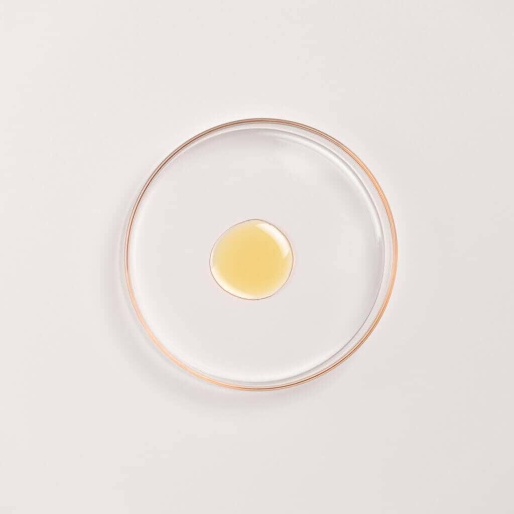 Kesaradi Daily Glow Oil - Best Face Moisturizer for Natural Glow. - Image 3