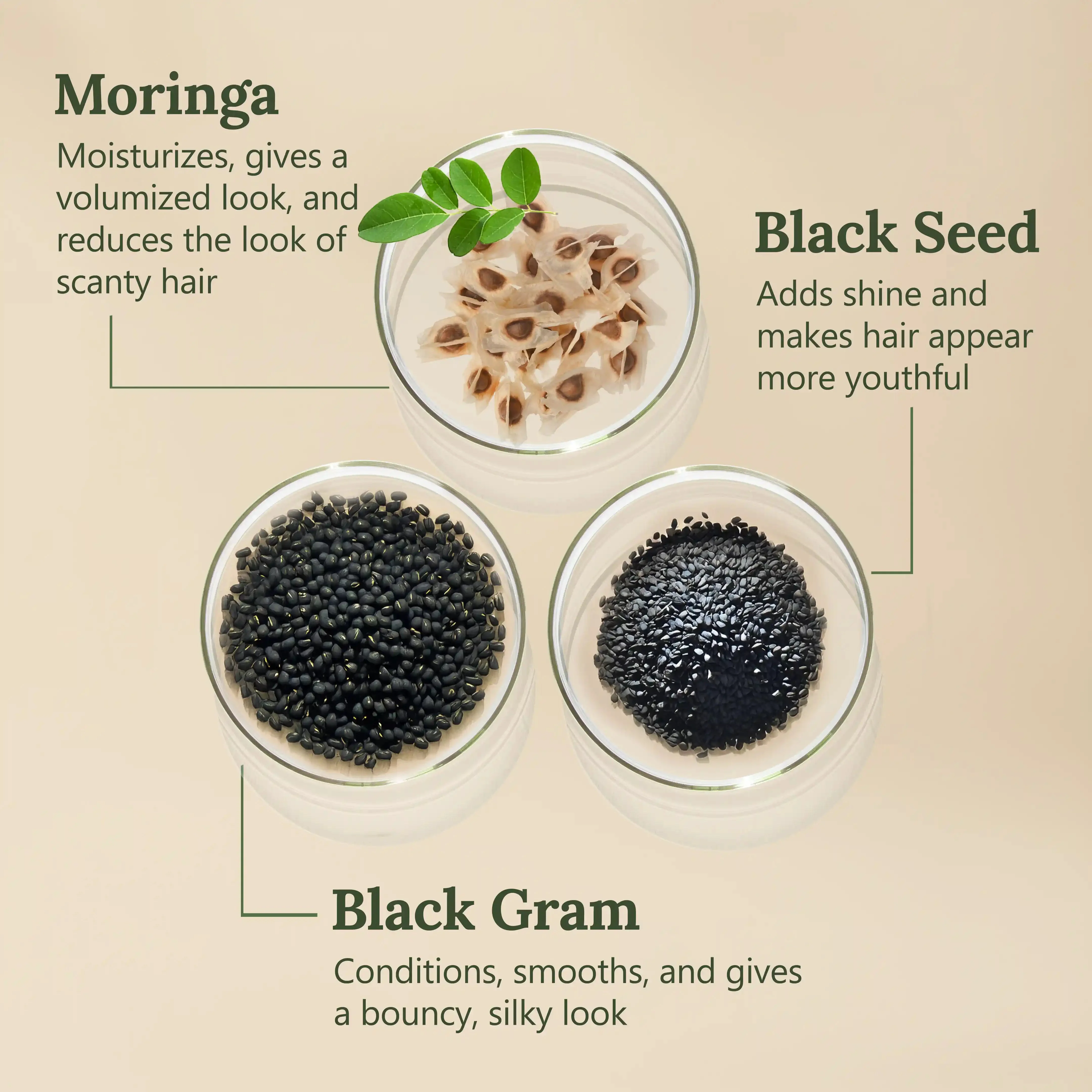 Soft-O-More Pre-Wash Hair Mask – Smooths, Softens, and Unfrizzes the look of Dry, Dull, Aging Hair – Revolutionary Formula with Moringa and Black Gram – Best Pre-Shampoo Hair Mask For Mature Hair - Image 7