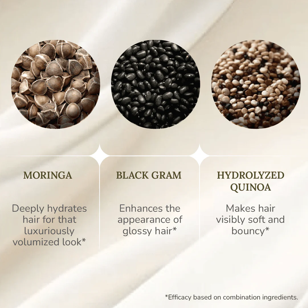 Soft-O-More Shampoo – Cleanses, Moisturizes, Unfrizzes the look of Dry, Dull, Damaged or Aging Hair – Ultra-Hydrating Formula with Moringa, Gotu Kola and Black Gram – Best Shampoo For Damaged, Frizzy Hair - Image 7